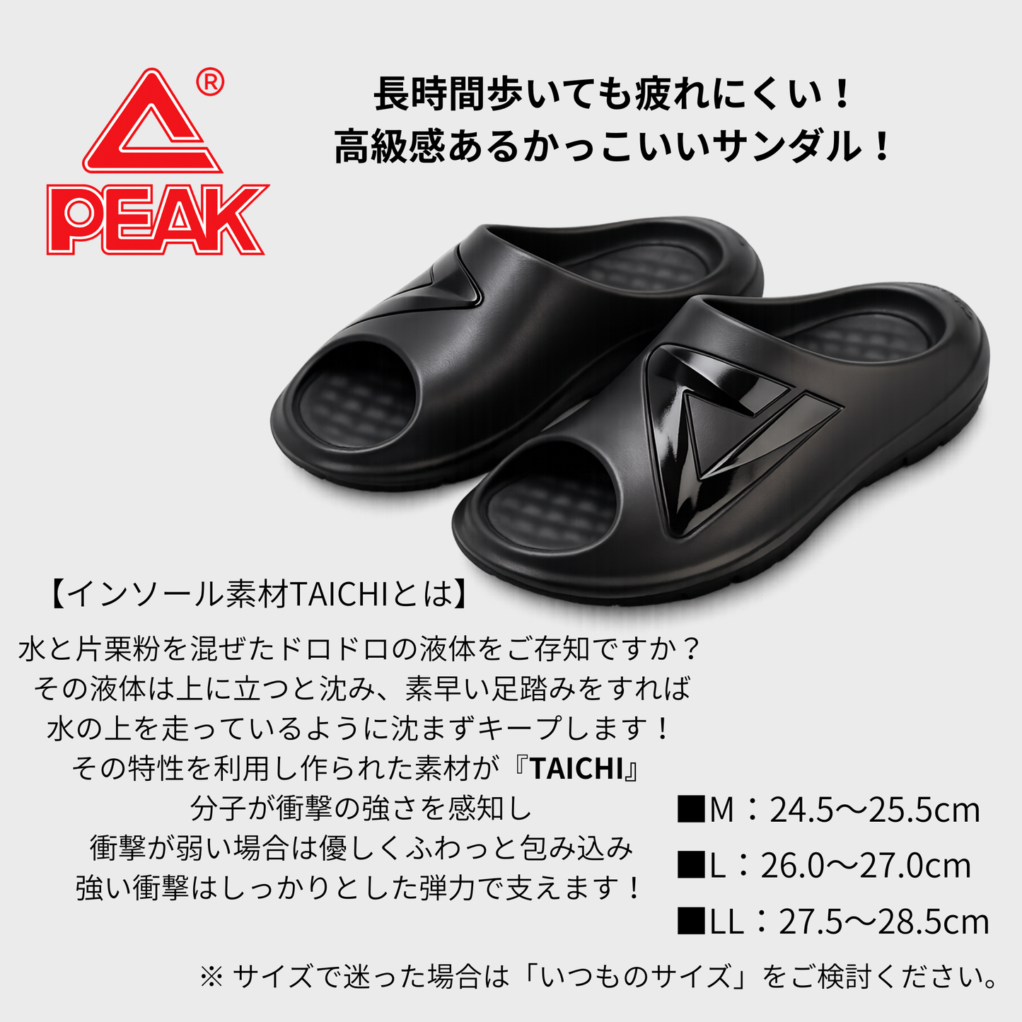 TS-03 PEAK TAICHI DOME アシストサンダル