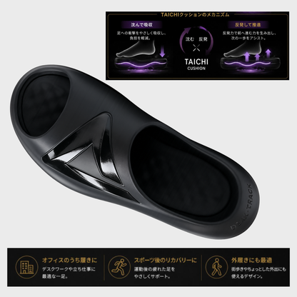 TS-03　PEAK TAICHI DOME アシストサンダル