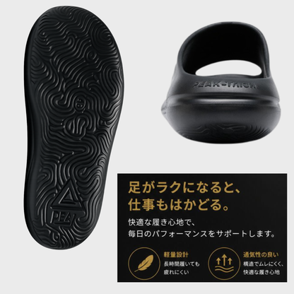 TS-03　PEAK TAICHI DOME アシストサンダル