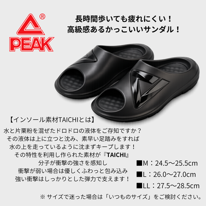 TS-03　PEAK TAICHI DOME アシストサンダル