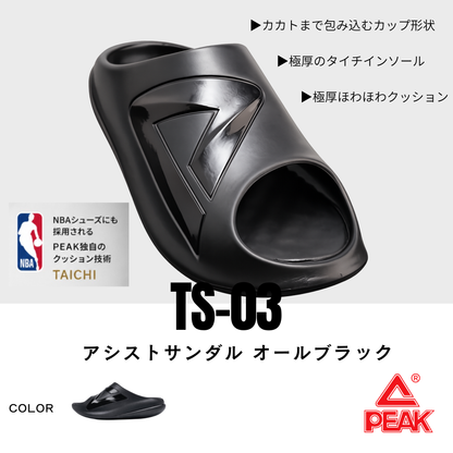 TS-03　PEAK TAICHI DOME アシストサンダル