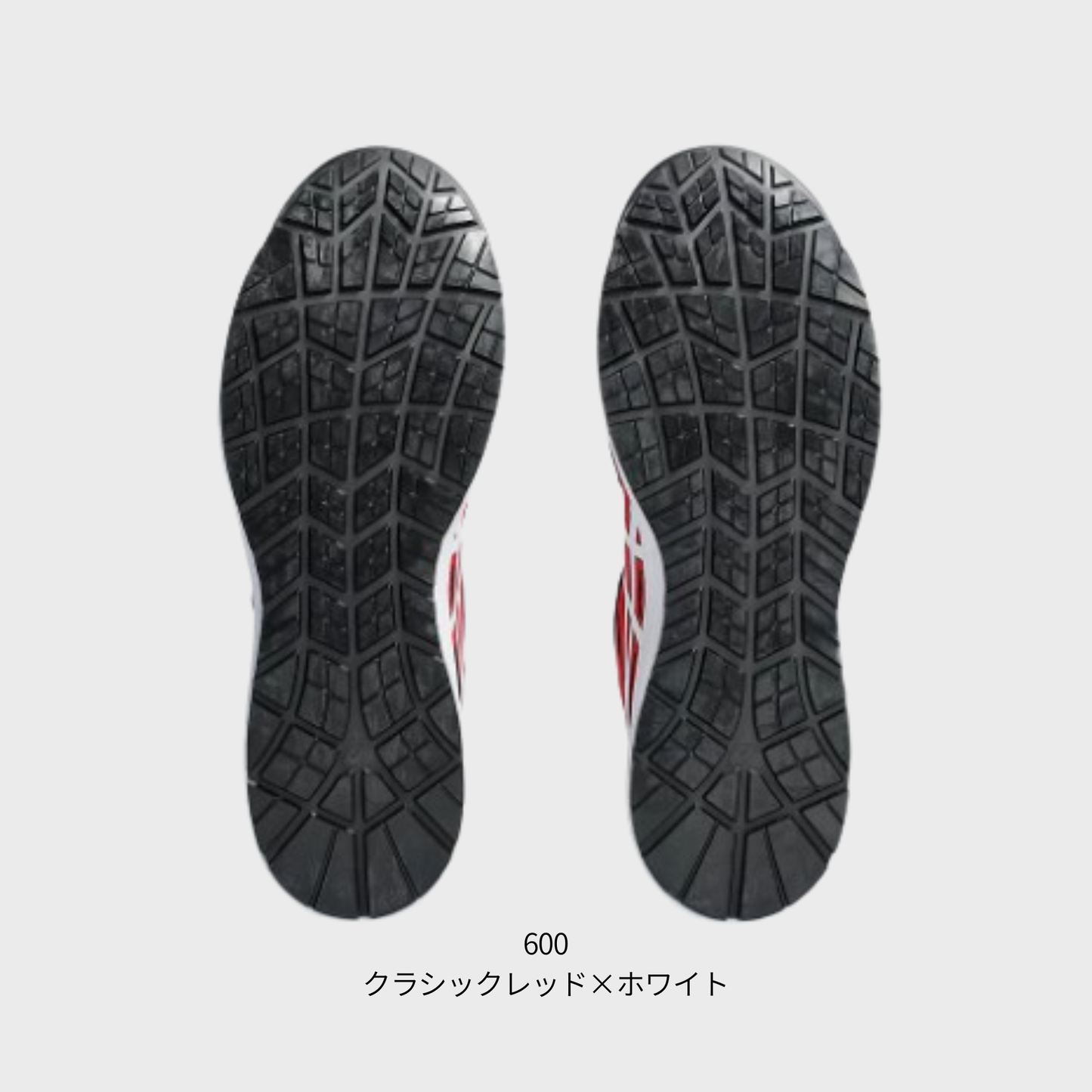 ASICS ウィンジョブ® CP219 BOA® 2E相当