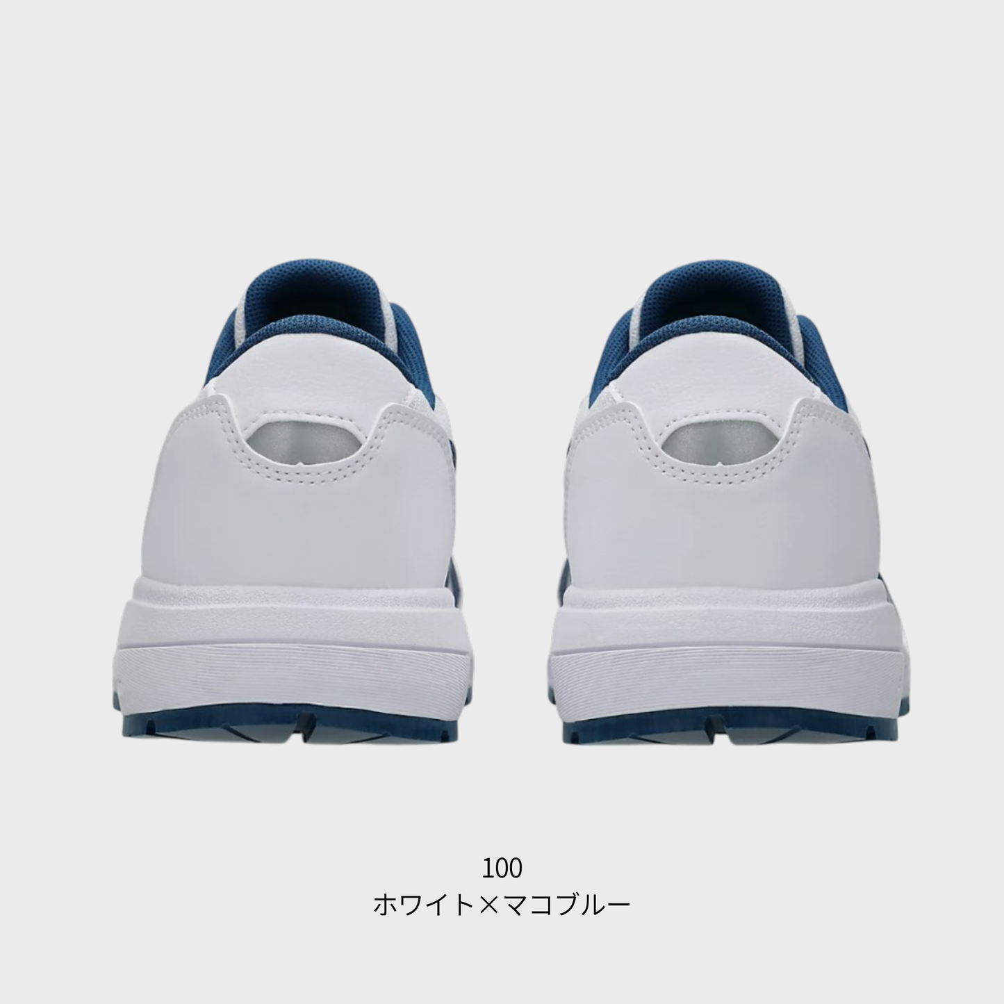 ASICS ウィンジョブ® CP221 3E相当