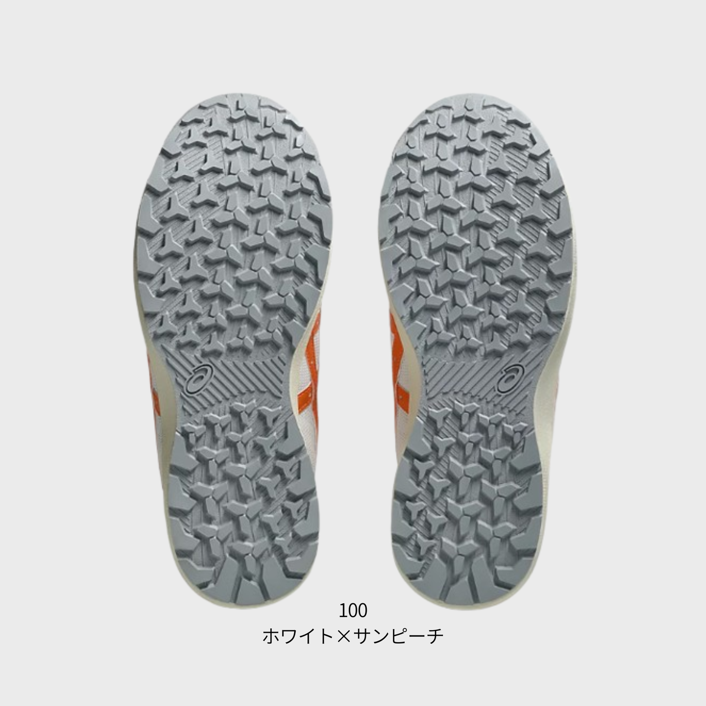 ASICS ウィンジョブ®CP229 BOA（3E相当）
