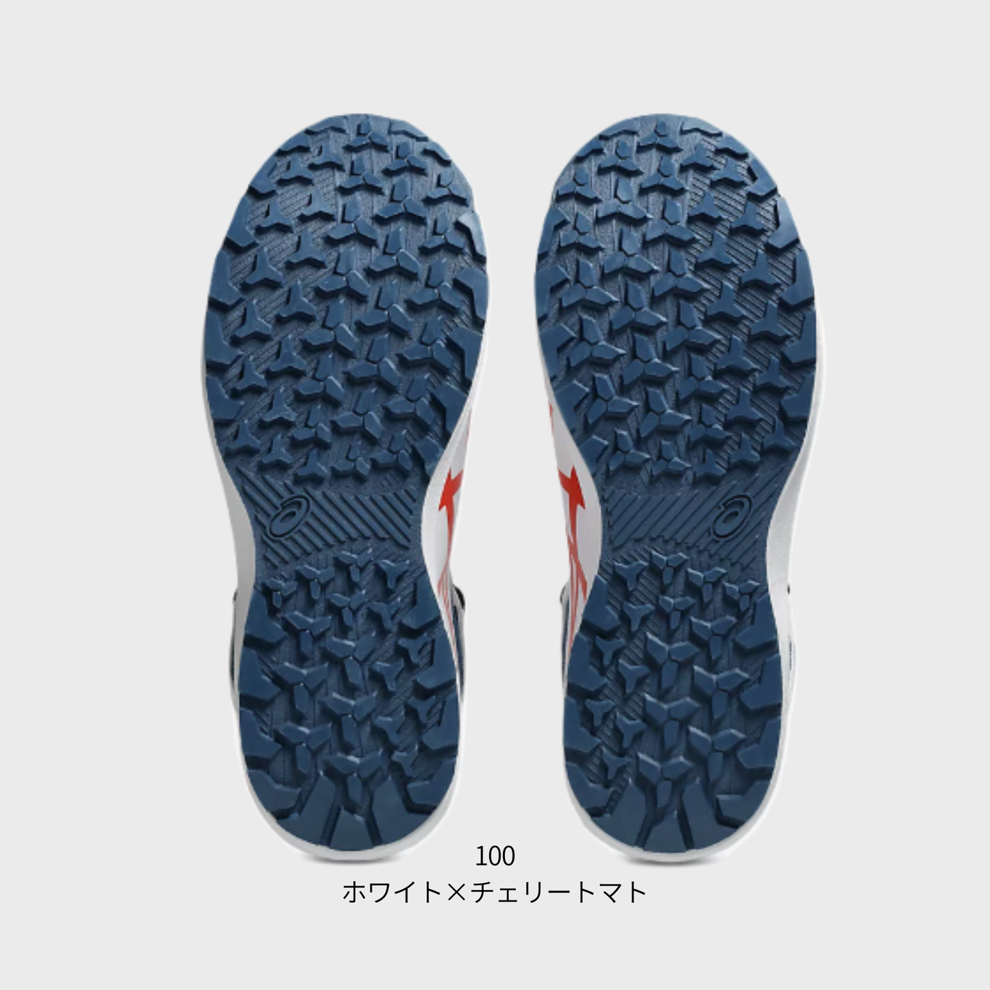 ASICS ウィンジョブ®CP314 BOA（3E相当）