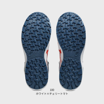 ASICS ウィンジョブ®CP314 BOA（3E相当）
